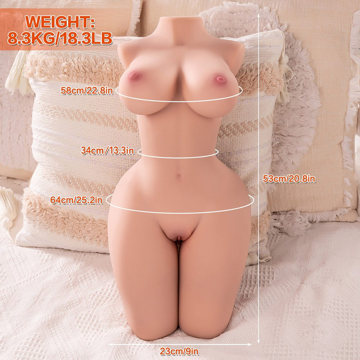 Page Half-Body Torso with Internal Skeleton | ToyFather