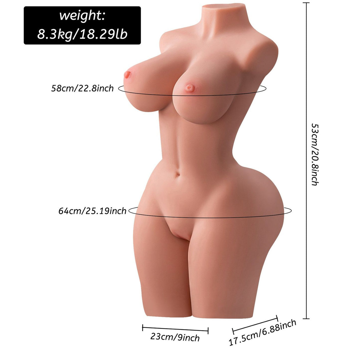 Page Half-Body Torso with Internal Skeleton | ToyFather