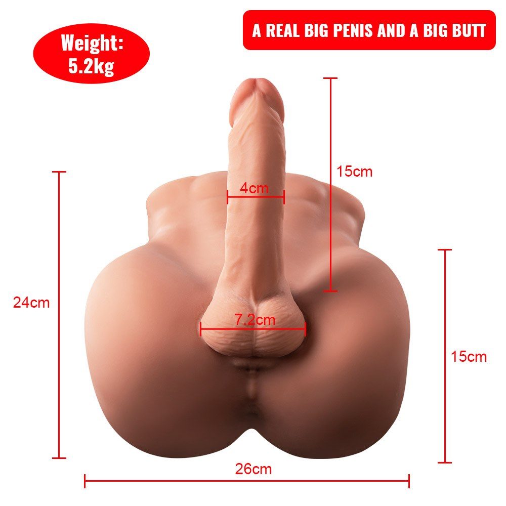 Bartley Male Torso with Internal Skeleton | ToyFather