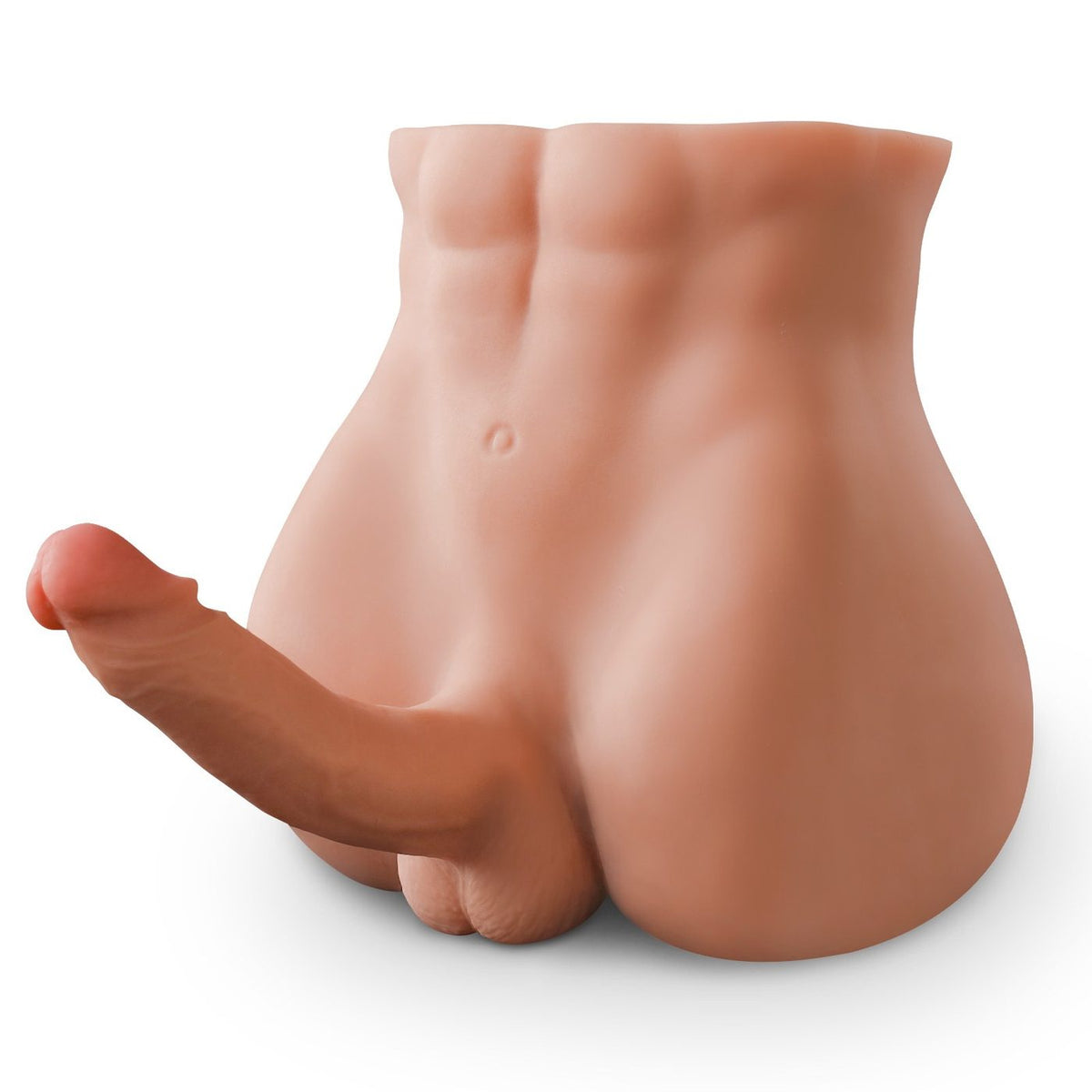 Bartley Male Torso with Internal Skeleton | ToyFather